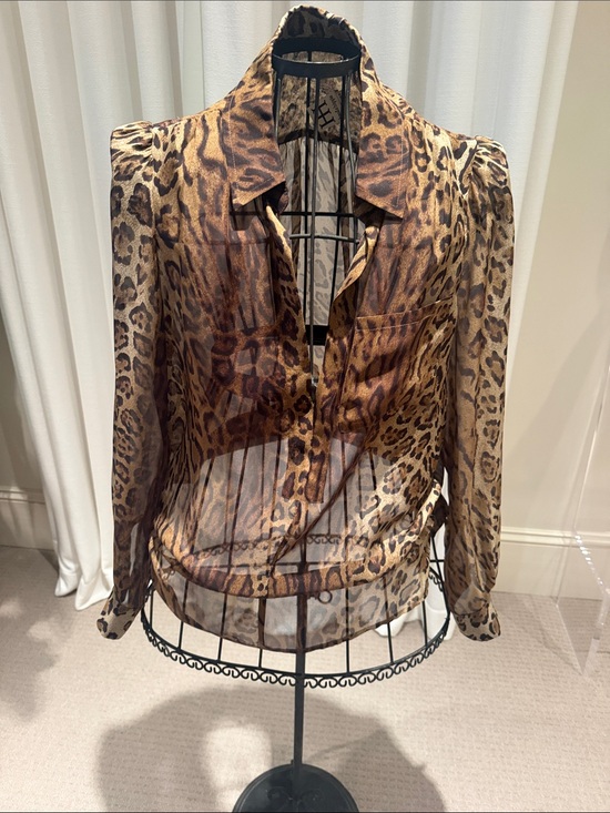 Haute Hippie Tops - Haute Hippie Brown Leopard Print Sheer low cut blouse.  It’s a must have!!